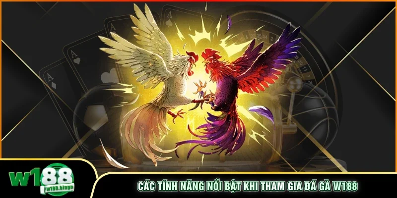 Các tính năng nổi bật khi tham gia đá gà W188
