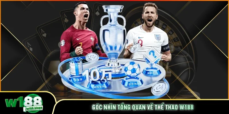 Góc nhìn tổng quan về thể thao W188