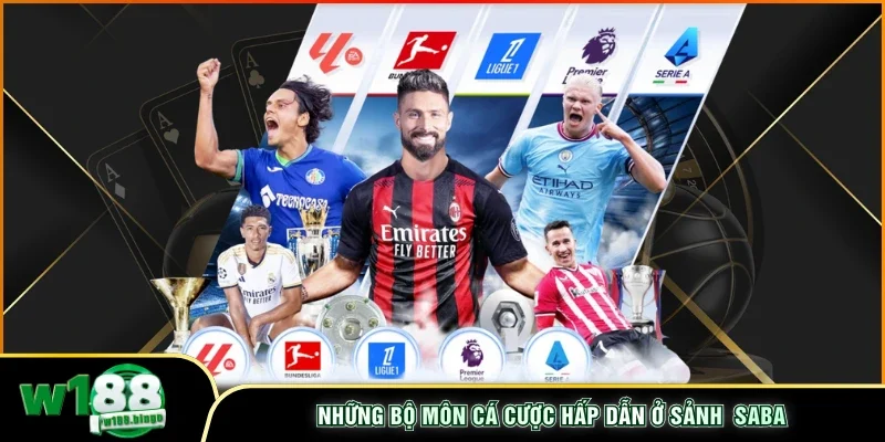 Những bộ môn cá cược hấp dẫn ở sảnh Saba