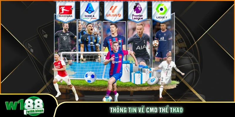 Thông tin về CMD Thể Thao